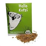 Hello Kotzi Premium Katzengras Saatmischung: 1 Beutel mit 25g Katzengras Samen für Katzengras – Eine saftige Wiese für Ihre Fellnase – Bio Katzen Leckerlies – Pflanzen Samen - Grassamen