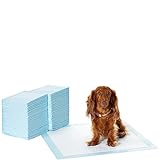 Amazon Basics Trainingspads für Hunde und Welpen, auslaufsicheres 5-lagiges Design mit schnell trocknender Oberfläche, Normal Größe (100 Stück), Blau