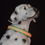 DOGLED LED-Leuchthalsbänder für Hunde, weiches Material mit 3D-schönem Design, USB-C wiederaufladbar, 15 Modi wechseln (M (39,9–50 cm), grün)