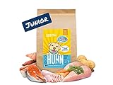 Sollis Hundefutter trocken | Ohne Getreide | Ohne Zucker | Hoher Fleischanteil | Trockenfutter für Hunde (Huhn, 2 kg (1er Pack))