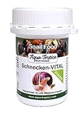 Aqua-Tropica Schnecken-VITAL Herbal - Kräuterfutter für Wasserschnecken, 40 g