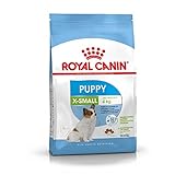 Royal Canin Hundefutter X-Small Puppy, 3 kg, 1er Pack (1 x 3 kg)