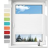 Plissee ohne Bohren Plissees Klemmfix, Easyfix Plisseeroll Rollo für Fenster Einfache Montage Sichtschutz und Sonnenschutz,35 x 80cm