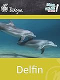 Delfin - Schulfilm Biolog