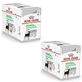 Royal Canin Digestive Care Nassfutter für Hunde - Doppelpack - 2X 12 x 85g