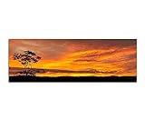 Panoramabild auf Leinwand und Keilrahmen 150x50cm Australien Wiese Baum Sonnenuntergang