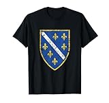Bosnien Wappen Grunge Flagge Bosnia Geschenk T-Shirt