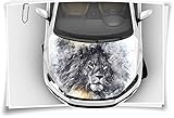 Medianlux Motorhaube Auto-Aufkleber Löwe Vintage Gemälde Abstrakt Wildnis Steinschlag-Schutz-Folie Airbrush Tuning Car-Wrapping Luftkanalfolie Digitaldruck Folierung