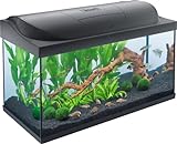 Tetra Starter Line 105 L Aquarium Komplett-Set - inkl. Tag- & Nachtlicht LED-Beleuchtung, Innenfilter, Heizer, Fischfutter und Wasseraufbereiter