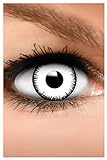 FUNZERA Farbige Halloween Kontaktlinsen weiß VAMPIR, weich, 2 Stück (1 Paar), Ohne Sehstärke