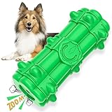 BlueFire Kauspielzeug Hund Hundespielzeug Unzerstörbar, Quietschspielzeug für Hunde, Naturkautschuk Zahnpflege Hundezahnbürste für Große/Mittelgroße/Kleine Hunde