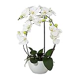 wohnfuehlidee Kunstpflanze Orchidee Phalenopsis, weiß, mit Deko-Keramik-Schale, Kunstblume Höhe 52 cm, Künstliche Orchidee im Topf