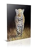 Aesthetic Deko Afrikanische Tiere des Leoparden Moderne Wandbilder Poster Set | Bilder Wanddeko Wohnzimmer | Wanddeko Schlafzimmer Fotowand 50x70cm(19.7x27.6inch) Rahmenlos