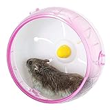 OmeHoin Laufrad für Kleintiere aus Kunststoff, 17,3 cm, geräuschlos, rutschfest, für Hamster, Igel, kleine Haustiere, Hamsterrad, Pink
