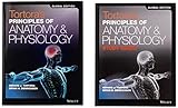Tortora, G: Tortora's Principles of Anatomy and Physiology