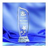 SHERAF K9 Crystal Trophy Gravierte Logo oder Wörter League Cup Glass Award Cup for Sport-Wettbewerbssieger Souvenirs Champion Award natürliche Kristallverzierung