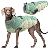 Kuoser Wärme hundemantel, Winddicht hundejacke, Reflektierend hundemantel für kleine Hunde, hundemantel Winter Draußen, Hundemantel Grosse Hunde Mit Reißverschluss Grün L
