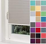 Home-Vision® Premium Plissee Faltrollo ohne Bohren mit Klemmträger / -fix (Grau, B35cm x H120cm) Blickdicht Sonnenschutz Jalousie für Fenster & Tür