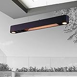 DNNAL Elektrischer Terrassenheizer für den Außenbereich, Infrarot-Heizstrahler zur Wandmontage mit Fernbedienung, wetterfester Heizstrahler für den Innen- und Außenbereich IP24,with led Light