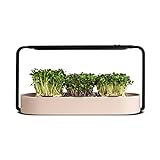 ingarden - BIO Superfood Anzuchtsystem Set | Indoor-Garten mit 3 Microgreen Samen Pads | Automatisches LED Wachstumslicht | Hydroponische Bewässerung | Edelstahlrahmen | Keramikschale | Beige