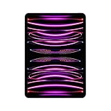 2022 Apple 11' iPad Pro (Wi-Fi, 256 GB) - Space Grau (4. Generation)
