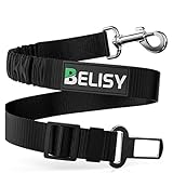 BELISY Universal Hunde Sicherheitsgurt fürs Auto - passend für alle Hunderassen & Autotypen