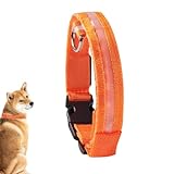 Visiblurry Leuchthalsband | Leuchtende Hundehalsbänder - Wiederaufladbares Sicherheitshalsband mit weichem Blinklicht für Welpen, Haustiere und kleine Hunde