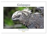 Galapagos 2023 - Tiere auf Galapagos (Wandkalender 2023 DIN A3 quer), Calvendo Monatskalender