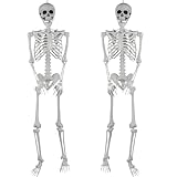2 Stück Halloween Kunststoff Skelette Realistische Lebensgröße menschliche Skelette mit beweglichen Gelenken für Halloween Spukhaus Dekoration im Freien