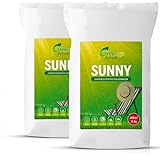 Greenyp® Sunny I dürreresistenter Trockenrasen I 30kg für 1200m² I Grassamen Rasensamen Rasensaat Gras Nachsaat schnellkeimend [SET]
