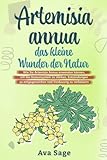 Artemisia annua - das kleine Wunder der Natur: Wie Sie Artemisia annua anwenden können, um das Immunsystem zu stärken, Entzündungen zu entgegenwirken und Verdauung zu verbessern. Inkl. Rezepte