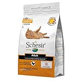 Schesir Cat Adult Maintenance Huhn, Katzenfutter trocken für Erwachsene Katzen, Trockenfutter im Beutel, 1er Pack (1 x 400 g)