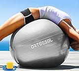 arteesol Gymnastikball Pilates Ball 45cm / 55cm / 65cm / 75 cm/ 85cm inkl. Pumpe Anti-Burst Sitzball für Yoga Exercise Fitness Physiotherapie