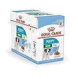 Royal Canin Mini Puppy / Junior Wet Hundefutter, 24 Packungen je 85 g für junge und heranwachsende kleine Hunderassen bis 10 Monate.