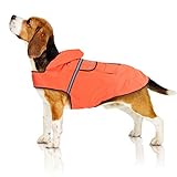 Bella & Balu Hunderegenmantel – Wasserdichter Hundemantel mit Kapuze und Reflektoren für trockene, sichere Gassigänge, den Hundespielplatz und den Urlaub mit Hund (M | Orange)