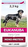Eukanuba Daily Care Mono-Protein Hundefutter - Trockenfutter mit nur Lachs als tierischem Protein, allergenarme Rezeptur, 2,3 kg
