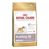 Royal Canin Bulldog Junior 12 kg
