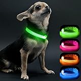 Visinite Leuchthalsband Hund,Wasserdicht,Verstellbare,USB Aufladbar LED Hunde Halsbänder, Leuchtet im Dunkeln,Leuchtendes Hundehalsband hält Ihren Kleinen Hund Sichtbar und Sicher,Grün,S
