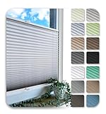 Rollmayer Plissee nach maß, Plissee mit Bohren 14 Farben 3 Profilfarben,Höhe 50-149 cm, Breite: 25cm-120cm, Plisseerollo Faltrollo Sichtschutz und Sonnenschutz für Fenster und Tü