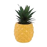 WECDS Künstliche Pflanzen Ananas, Bonsai, kleiner Baum, künstliche Pflanzen im Topf, Dekoration für Haus, Hotel, Garten (Farbe: Orange, Größe: gratis)