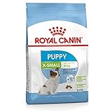 Royal Canin Hundefutter X-Small Junior, 1,5 kg, 1er Pack (1 x 1.5 kg)