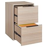 LUCYPAL Aktenschrank aus Holz mit 2 Schubladen, vertikaler Aktenschrank aus Holz, für A4 oder Briefgröße für Zuhause, Beige