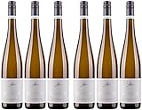 A. Diehl Chardonnay eins zu eins Kabinett Weißwein Wein trocken I Versanel Paket (6 Flaschen)