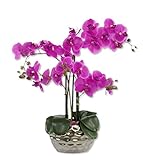 DARO DEKO Kunst-Pflanze Orchidee (ovaler Topf Silber Hochglanz und lila Blüten 53cm)