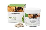 Plantavet EnteroRegén für Tiere zur Unterstützung bei Verdauungsproblemen 240 Tabletten