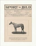 Kunstdruck Semendria, Schimmelstute des Baron Schickler Pferde Rennstall F_Vintage 00476