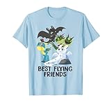 Drachenzähmen Leicht Gemacht 3 beste Freunde Hemd T-Shirt