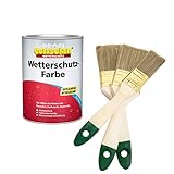 Consolan Profi Wetterschutzfarbe Pro (inkl. Nordje Pinsel-Set 3-teilig) (0,75L, Silbergrau)