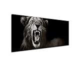 Unique Wunderschönes Wandbild 150x50cm Tierbilder – Brüllender afrikanischer Löwe schwarz weiß