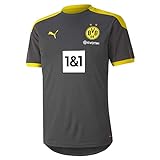 PUMA Herren, BVB Training Jersey new T-shirt, Asphalt-Cyber Yellow, XXL